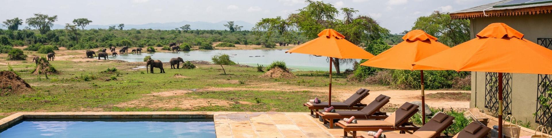 The River Station Kyambura | Luksusowy Hotel nad Kazinga Channel 